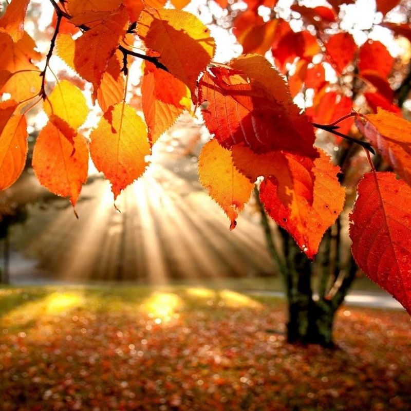 Un giro tra gli agriturismi in autunno in Abruzzo