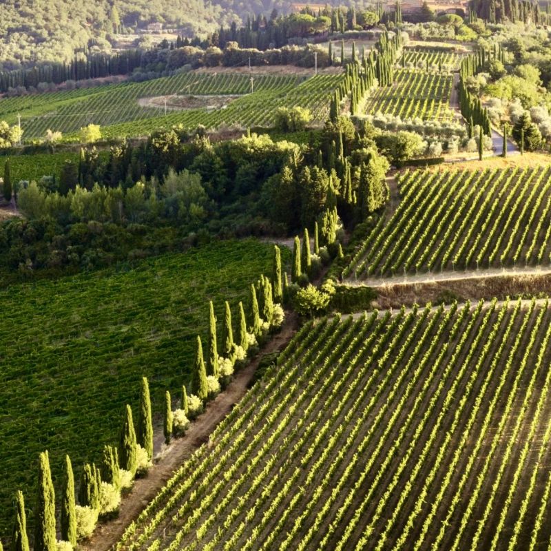Andare nel Chianti Classico alla ricerca di un po' di freschezza (e non solo nel calice)